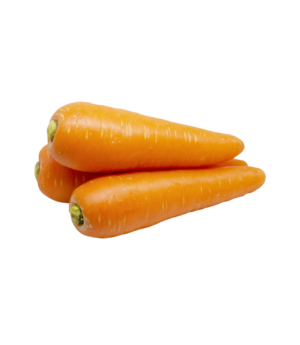 Gajor (Carrot)
